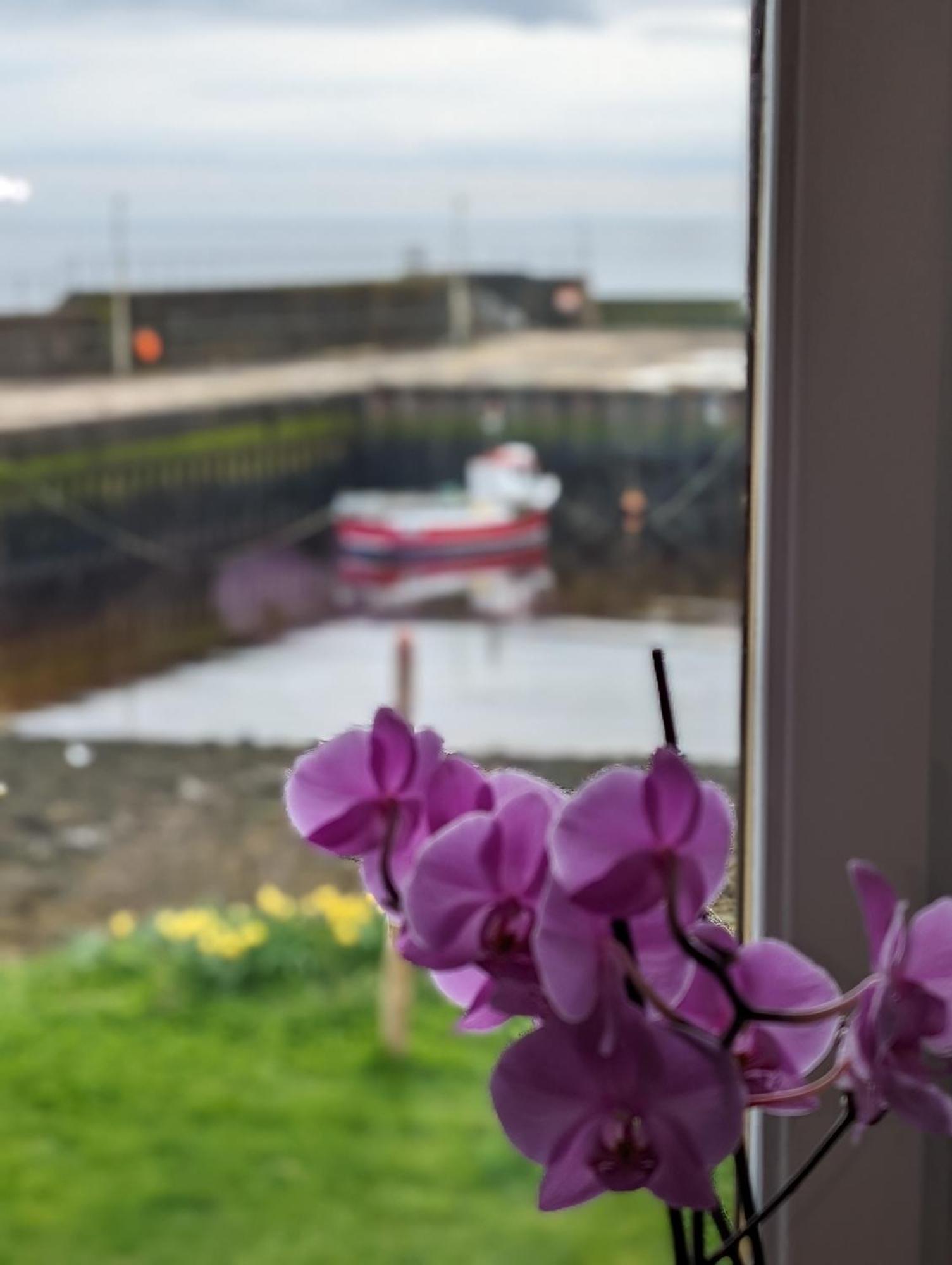 Bed and Breakfast Sea Song, Selkie House Гелмсдейл Екстер'єр фото
